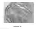 Fig. 07 - Antibodies to MUC16 and methods of use thereof