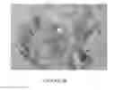 Fig. 08 - Antibodies to MUC16 and methods of use thereof