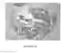 Fig. 13 - Antibodies to MUC16 and methods of use thereof