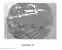 Fig. 15 - Antibodies to MUC16 and methods of use thereof