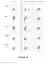 Fig. 28 - Antibodies to MUC16 and methods of use thereof