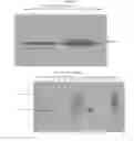 Fig. 61 - Antibodies to MUC16 and methods of use thereof