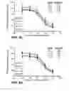 Fig. 07 - Antibodies directed to HER-3 and uses thereof