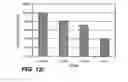 Fig. 16 - Antibodies directed to HER-3 and uses thereof
