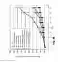 Fig. 19 - Antibodies directed to HER-3 and uses thereof