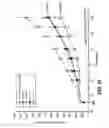 Fig. 21 - Antibodies directed to HER-3 and uses thereof