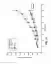 Fig. 22 - Antibodies directed to HER-3 and uses thereof