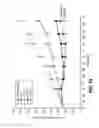 Fig. 23 - Antibodies directed to HER-3 and uses thereof