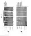 Fig. 06 - Anti-immunoglobulin E antibodies and methods of using thereof