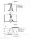 Fig. 12 - Anti-immunoglobulin E antibodies and methods of using thereof