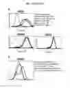 Fig. 13 - Anti-immunoglobulin E antibodies and methods of using thereof