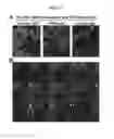 Fig. 14 - Anti-immunoglobulin E antibodies and methods of using thereof