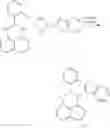Fig. 19 - Bridged metallocene complex for olefin polymerization