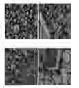 Fig. 02 - Vinyl chloride based nanocomposite composition and method of preparing the vinyl chloride based nanocomposite
