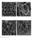 Fig. 03 - Vinyl chloride based nanocomposite composition and method of preparing the vinyl chloride based nanocomposite