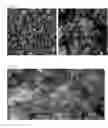 Fig. 04 - Vinyl chloride based nanocomposite composition and method of preparing the vinyl chloride based nanocomposite