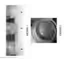 Fig. 03 - Polyurethane biofoams derived from natural products and methods of making and using thereof