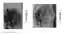 Fig. 05 - Polyurethane biofoams derived from natural products and methods of making and using thereof