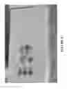 Fig. 18 - Polyurethane biofoams derived from natural products and methods of making and using thereof