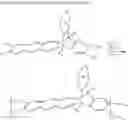 Fig. 17 - Triptycene-based ladder monomers and polymers, methods of making each, and methods of use
