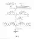 Fig. 02 - Synthesis and polymerization of oligomeric aliphatic-aromatic based phthalonitriles