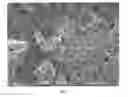 Fig. 03 - Microparticles having a multimodal pore distribution