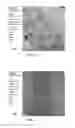 Fig. 03 - Polyolefin/(meth)acrylic impact modifier and method of preparing same