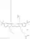 Fig. 116 - CYANINE COMPOUNDS
