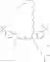 Fig. 78 - CYANINE COMPOUNDS