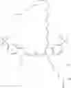 Fig. 79 - CYANINE COMPOUNDS