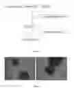 Fig. 02 - Coated Particles and Method of Coating Particles
