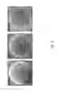 Fig. 09 - Structurally colored materials with spectrally selective absorbing components and methods for making the same