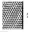 Fig. 19 - Structurally colored materials with spectrally selective absorbing components and methods for making the same