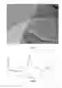 Fig. 03 - METALLIC PIGMENTS AND METHOD OF COATING A METALLIC SUBSTRATE