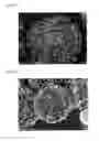 Fig. 05 - Conductive filler, method for producing same, conductive paste and method for producing conductive paste
