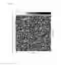 Fig. 07 - Silver ink