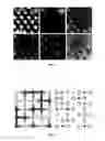 Fig. 05 - ENTROPICALLY STABILIZED IONIC AND PARTIALLY IONIC COMPOUNDS AND RELATED METHODS