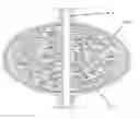 Fig. 01 - WELL TREATMENT