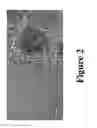 Fig. 03 - Controlled synthesis of bright and compatible lanthanide-doped upconverting nanocrystals