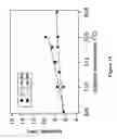 Fig. 15 - Controlled synthesis of bright and compatible lanthanide-doped upconverting nanocrystals