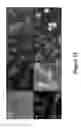 Fig. 16 - Controlled synthesis of bright and compatible lanthanide-doped upconverting nanocrystals