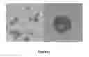 Fig. 18 - Controlled synthesis of bright and compatible lanthanide-doped upconverting nanocrystals