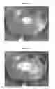 Fig. 05 - Giant electrorheological fluid surfactant additives