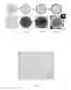 Fig. 02 - Coated microcapsules