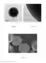 Fig. 03 - Coated microcapsules