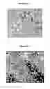 Fig. 03 - Free-flowing, solid, high active alkyl ether sulfates
