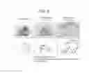 Fig. 06 - Cell Culturing Method, Particulate Culture Carrier, and Particle-Encompassing Cell Aggregate