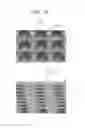 Fig. 14 - Cell Culturing Method, Particulate Culture Carrier, and Particle-Encompassing Cell Aggregate