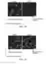 Fig. 06 - Isolation, expansion and use of clonogenic endothelial progenitor cells