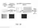 Fig. 10 - Isolation, expansion and use of clonogenic endothelial progenitor cells